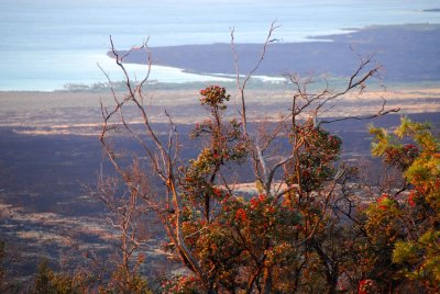 north kona coast