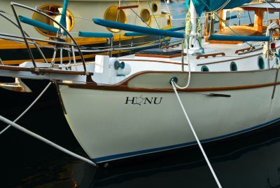 sailboat honu