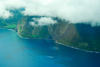 kohala coast