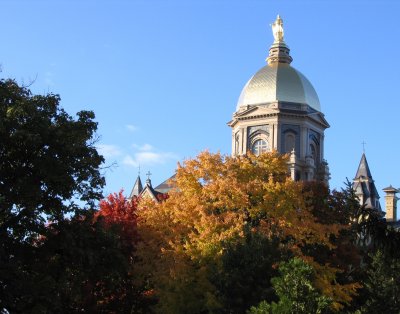 Dome in the Fall