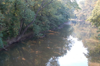 Tranquil Indiana stream