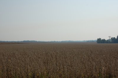 g6/51/782551/3/86085619.0Of5OhuB.jpg
