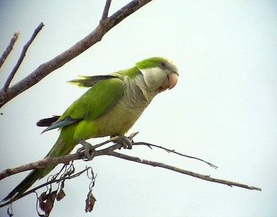 g6/51/802551/3/87062202.KhAaYQDb.jpg