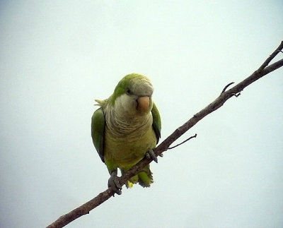 g6/51/802551/3/87062205.K8XP2LVb.jpg