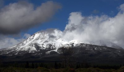 Mt. Shasta