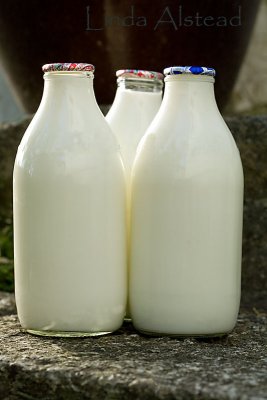 13th december 2007 - milk on the doorstep