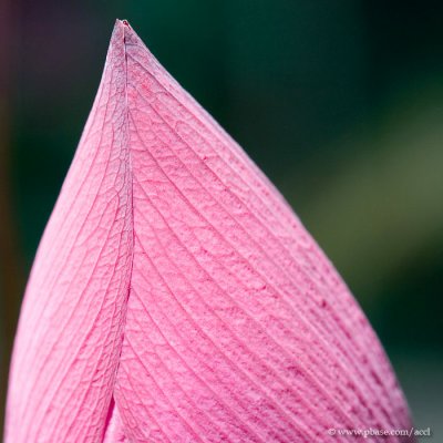 CRW_4991.jpg