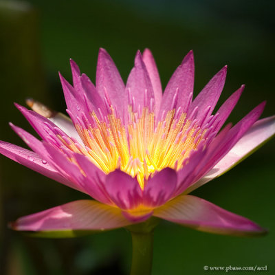 CRW_5018.jpg