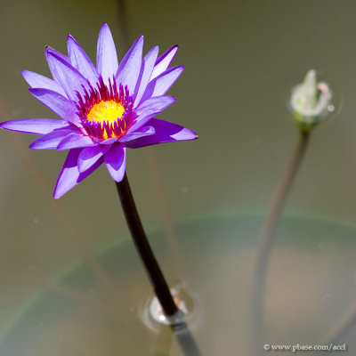 CRW_5025.jpg