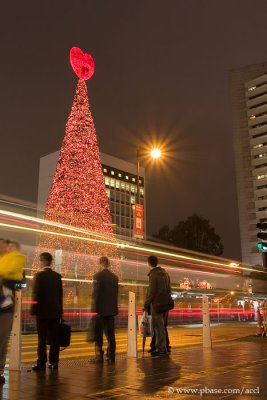 Joy To The World