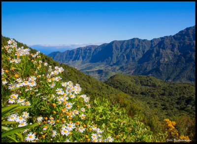 Madeira mountains.jpg