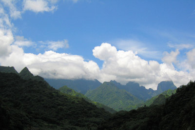 Mataiea Valley (?), Tahiti