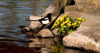 IMG_2174p.jpg