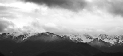 Snow along Hurricane Ridge