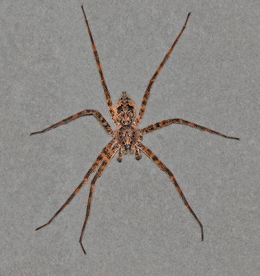 g6/52/363052/3/83160441.CHvFRRDq.jpg