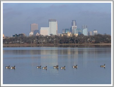 November 16 - City Geese