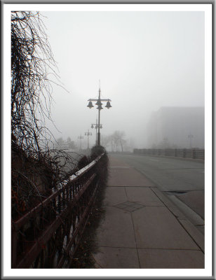 March 24 - Foggy Morning