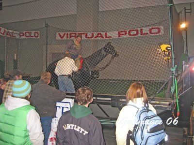 Virtual Polo