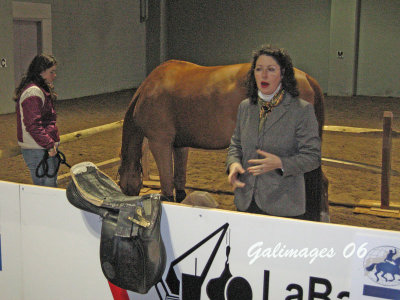 Kate does saddle fitting clinic