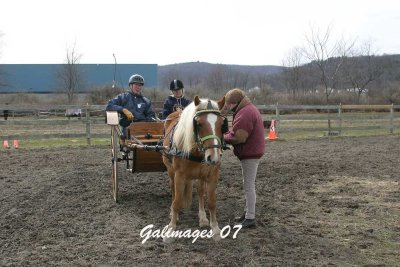 IMG_3272.jpg