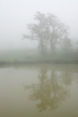 g6/52/386352/3/72649910.8jXcfYLA.jpg