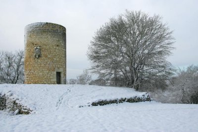 g6/52/386352/3/75057739.jjJEySsj.jpg
