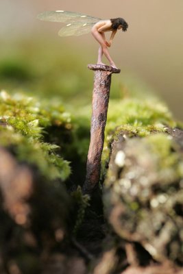 Fairy on rusty nail