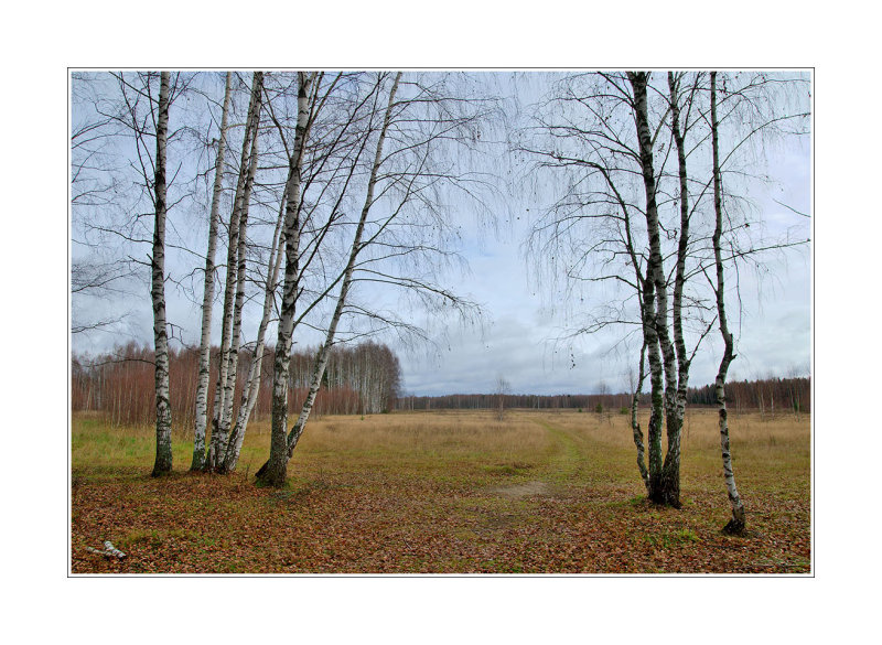 29.10.2006, Vladimirskaya oblast region, wating for the first snow