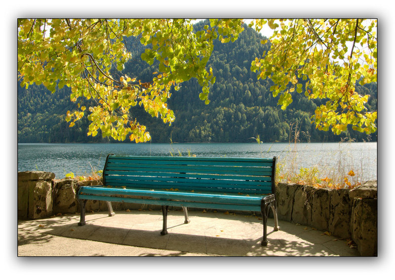 Abkhazia, near Stalin's datcha on the coast of Ritsa lake