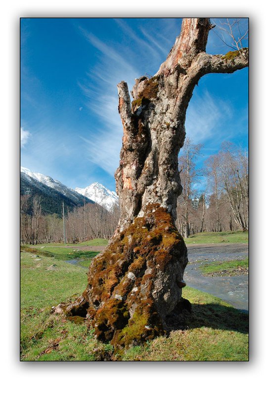 Karachaevo-Cherkessia, Arkhyz