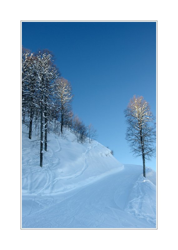 31.12.2006 - Big Sochi, Krasnaya polyana ski resort  Etude in a blue tones