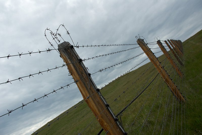     / long, long fence, not far from the frontier, made from barbed wire, with a several free open gates
