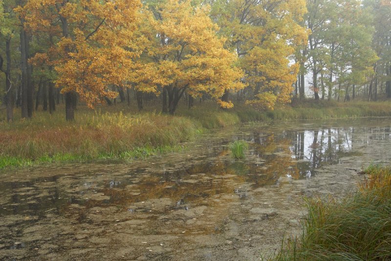 Klyazma former river-bed