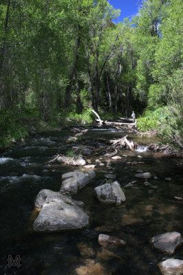 Current Creek