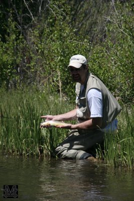 Fish in hand