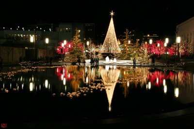 Reflected Jesus