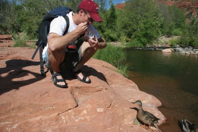 Duck Whisperer