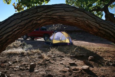 Cottonwood Arch