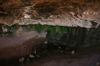 Cave Spring, Canyonlands NP