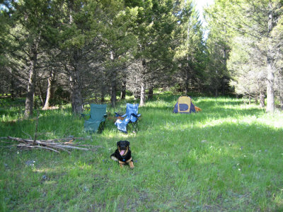Ziek's First Camping Experience