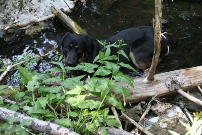 Cooling Down