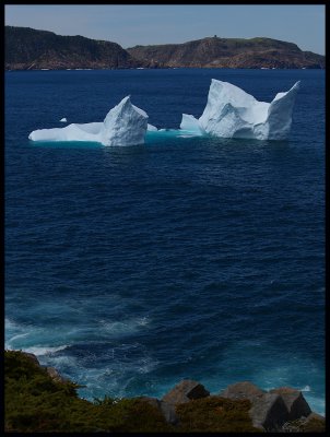 IcebergSignalHillVert43256.jpg