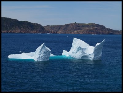 IcebergSignalHill43254.jpg