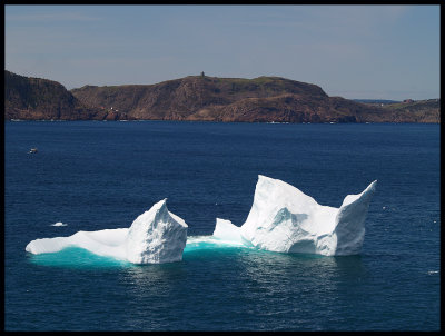 IcebergSignalHill43248.jpg
