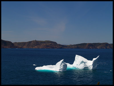 IcebergSignalHill43246.jpg