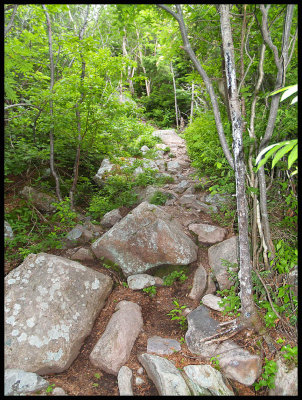 EastCoastTrail3792.jpg