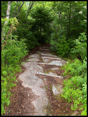 EastCoastTrail3793.jpg