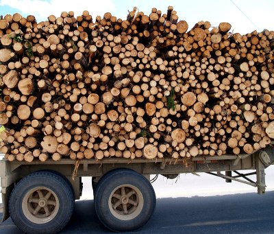 WoodOnTruck5105.jpg