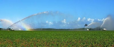 farm irrigation