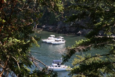 Jones Island- San Juan Islands